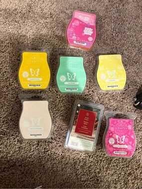 Scentsy Wax Bar Variety Pack — Pink, Yellow, Green, Cream, Brown